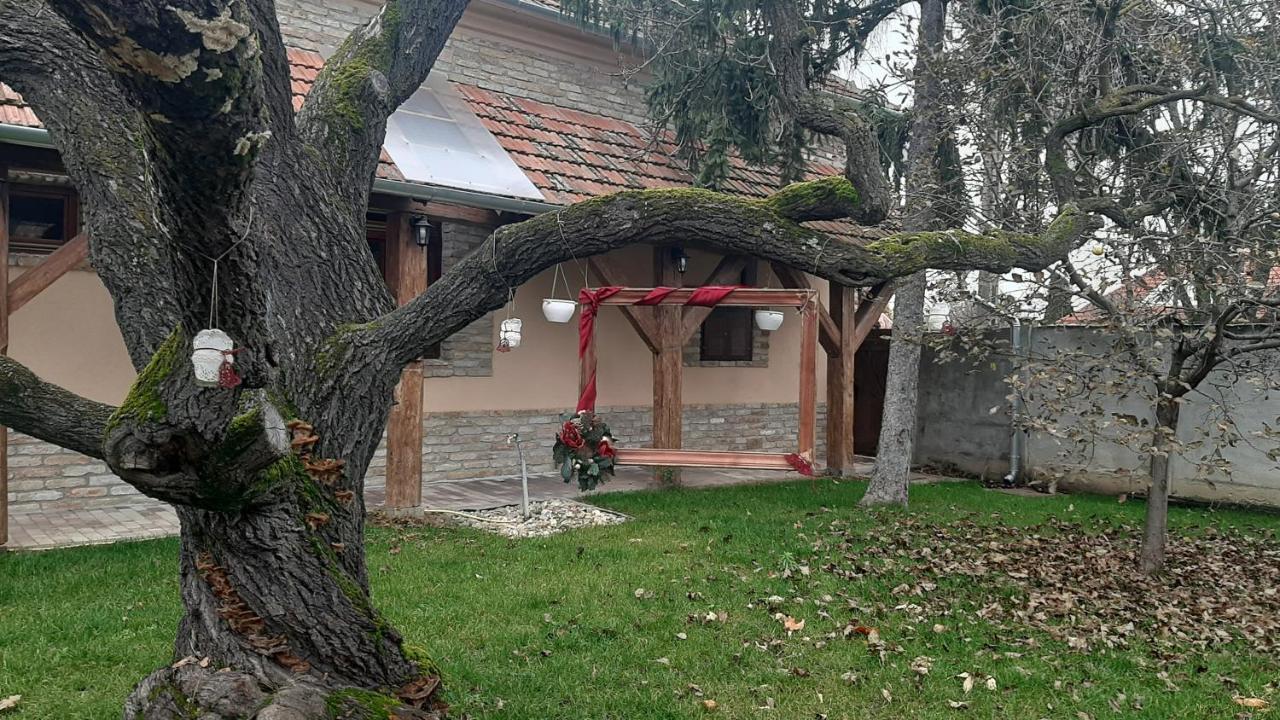 Villa Rusztika Gyula Exteriér fotografie